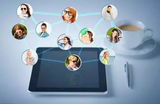 藍(lán)盟觀點(diǎn) 企業(yè)IT采購(gòu)成本高？善用上海軟件代理與開發(fā)，這一招助您顯著降本增效